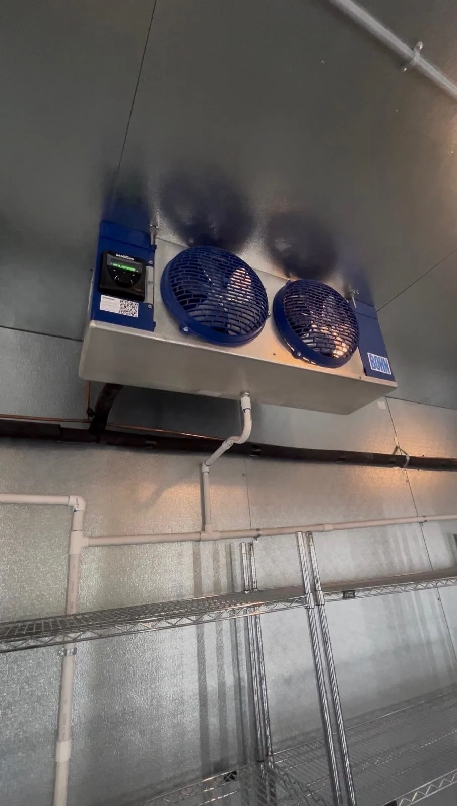 Bohn dual-fan walk-in cooler evaporator installation with PVC drain